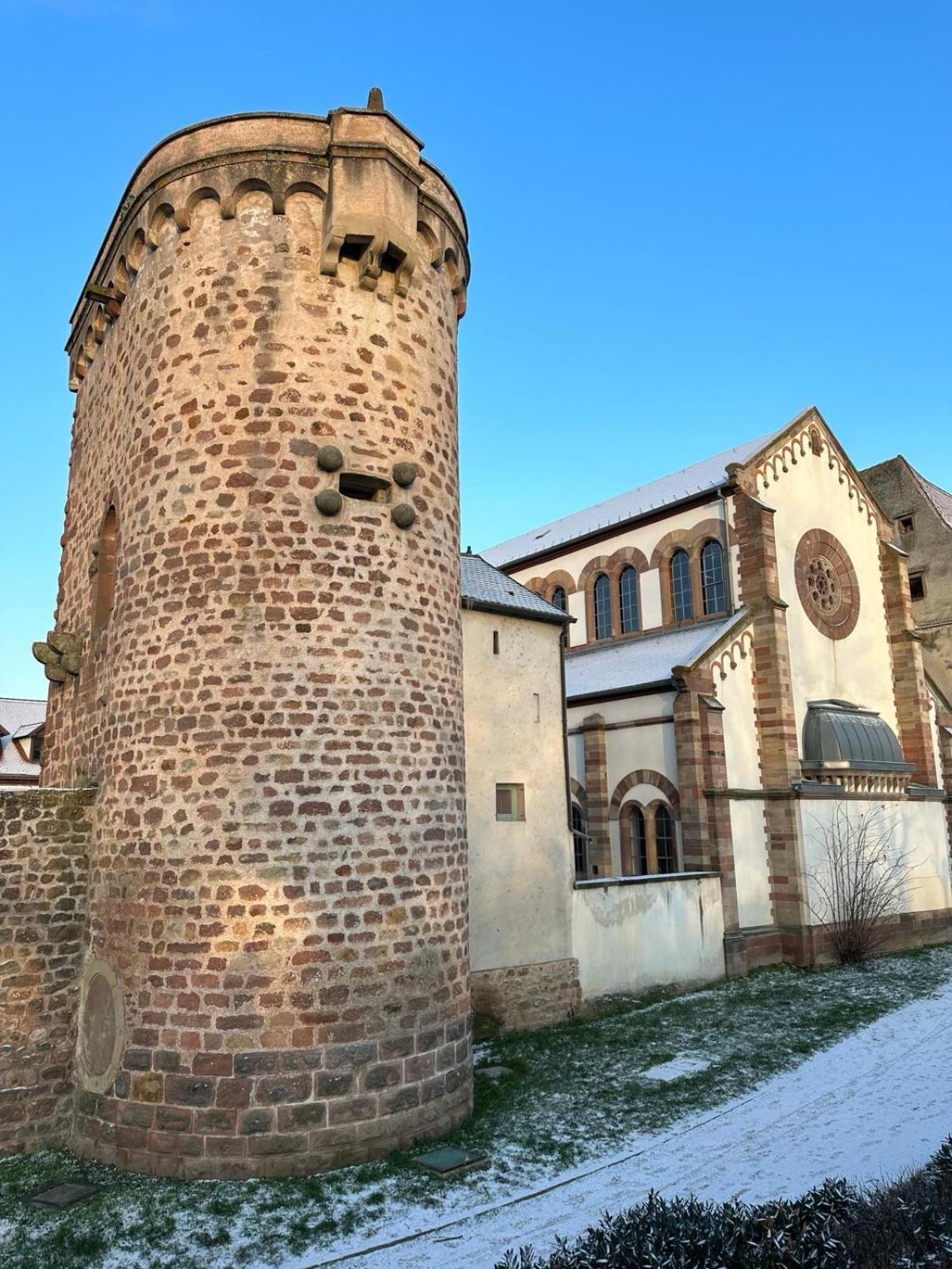 Bienvenue Au Coeur D Alsace-Centre Obernai -3 Etoiles - Lägenhet Exteriör bild