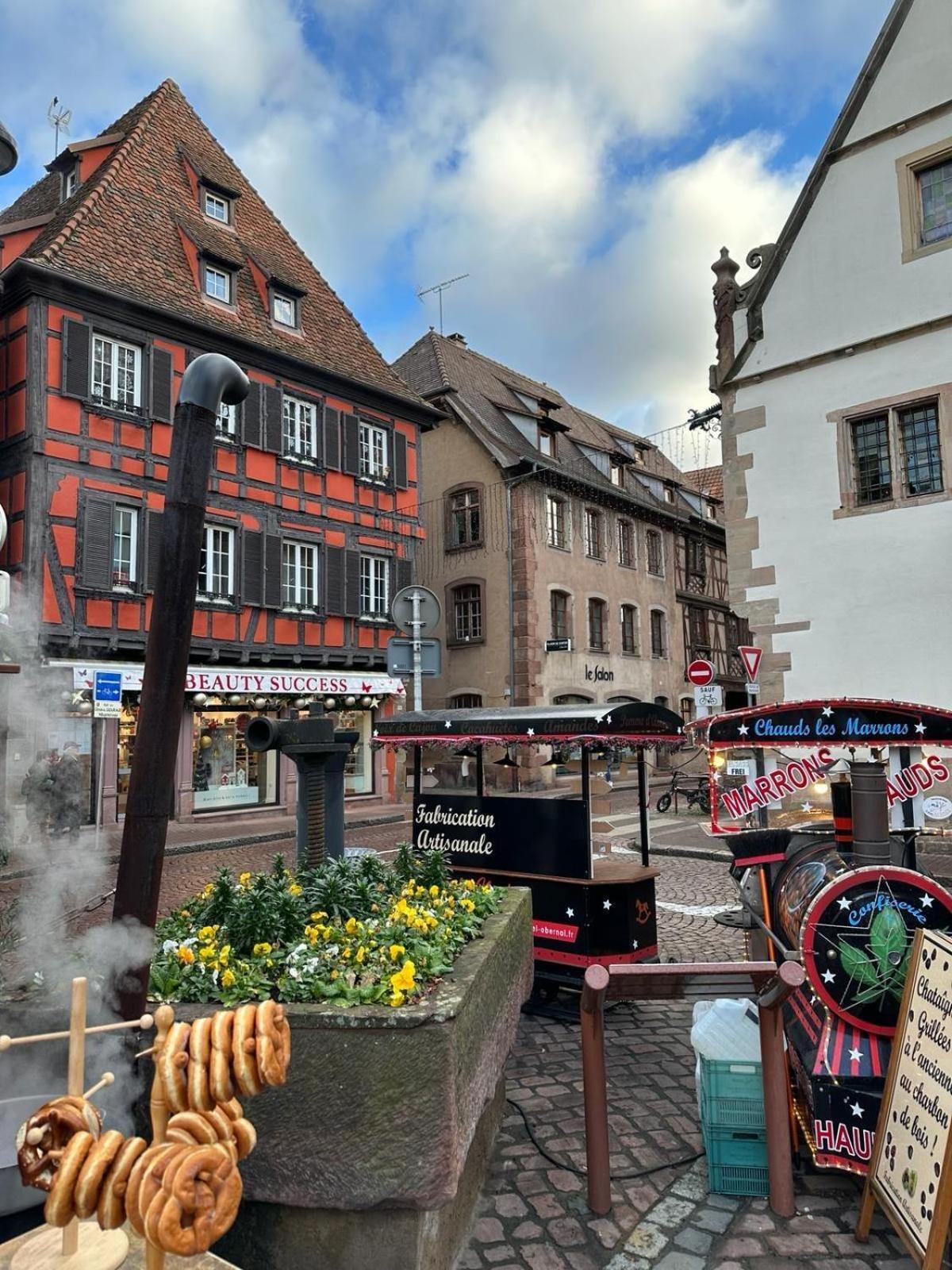 Bienvenue Au Coeur D Alsace-Centre Obernai -3 Etoiles - Lägenhet Exteriör bild
