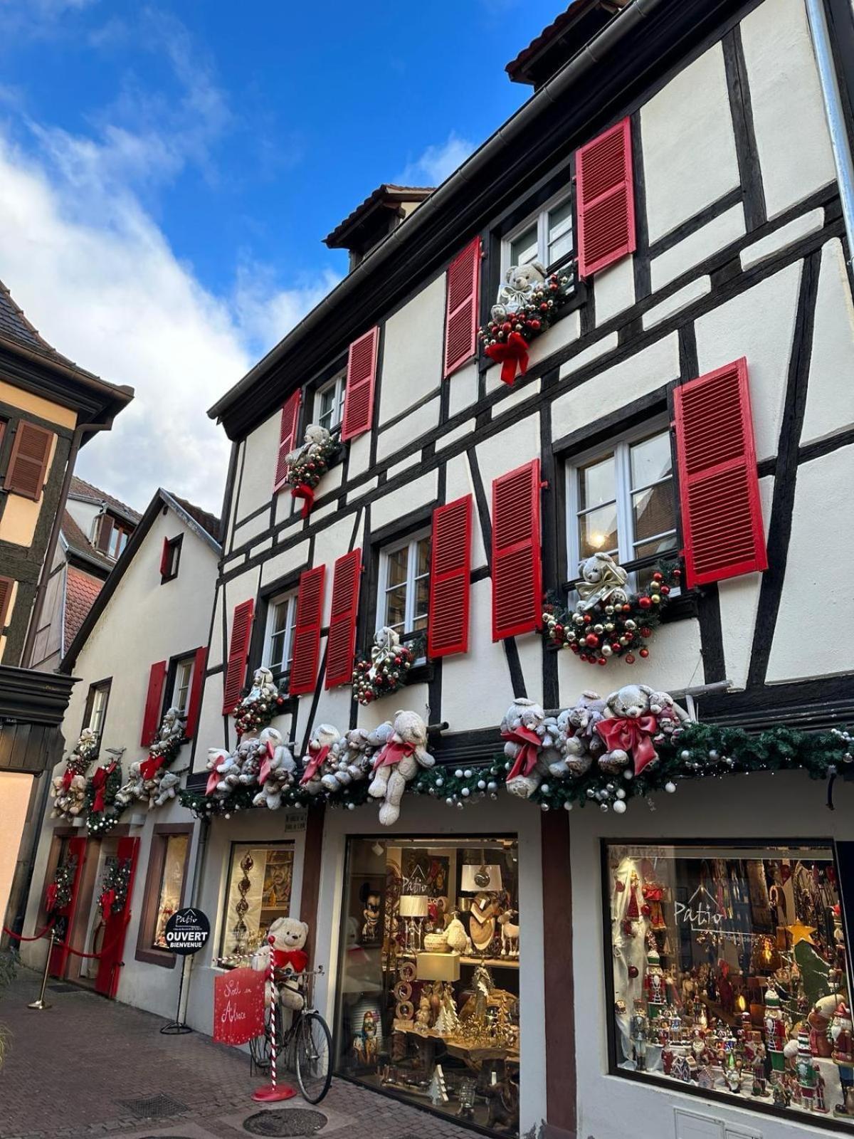 Bienvenue Au Coeur D Alsace-Centre Obernai -3 Etoiles - Lägenhet Exteriör bild